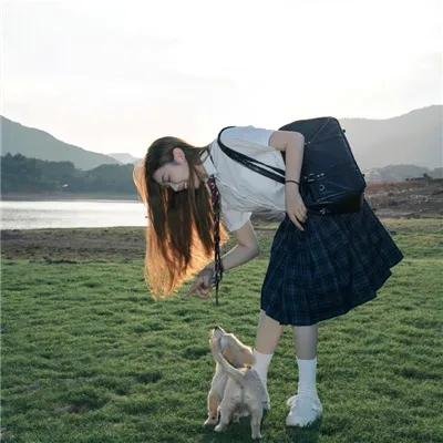 狂花梦路